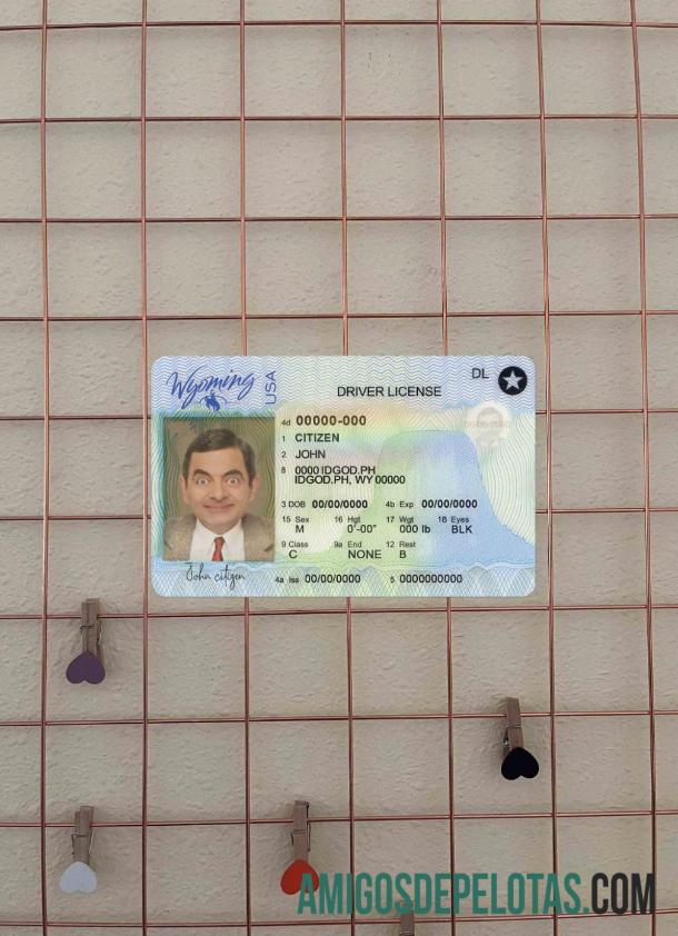 em branco Modelo de carteira de motorista do estado de Wyoming nos EUA em formato PSD, com todas as fontes (2020 - presente) fotolook frente